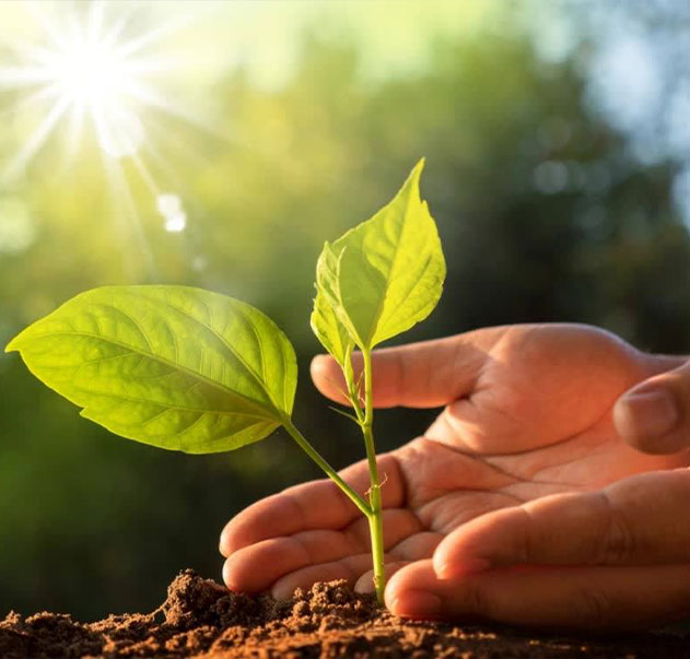 Jiangsu Shixin Athehesive taśma Products Co., Ltd.