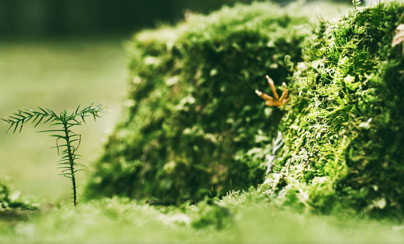 Jiangsu Shixin Athehesive taśma Products Co., Ltd.